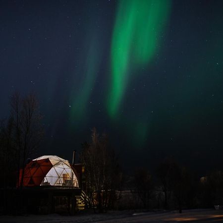 Aera - Glass Cabins Tromsø Exteriér fotografie
