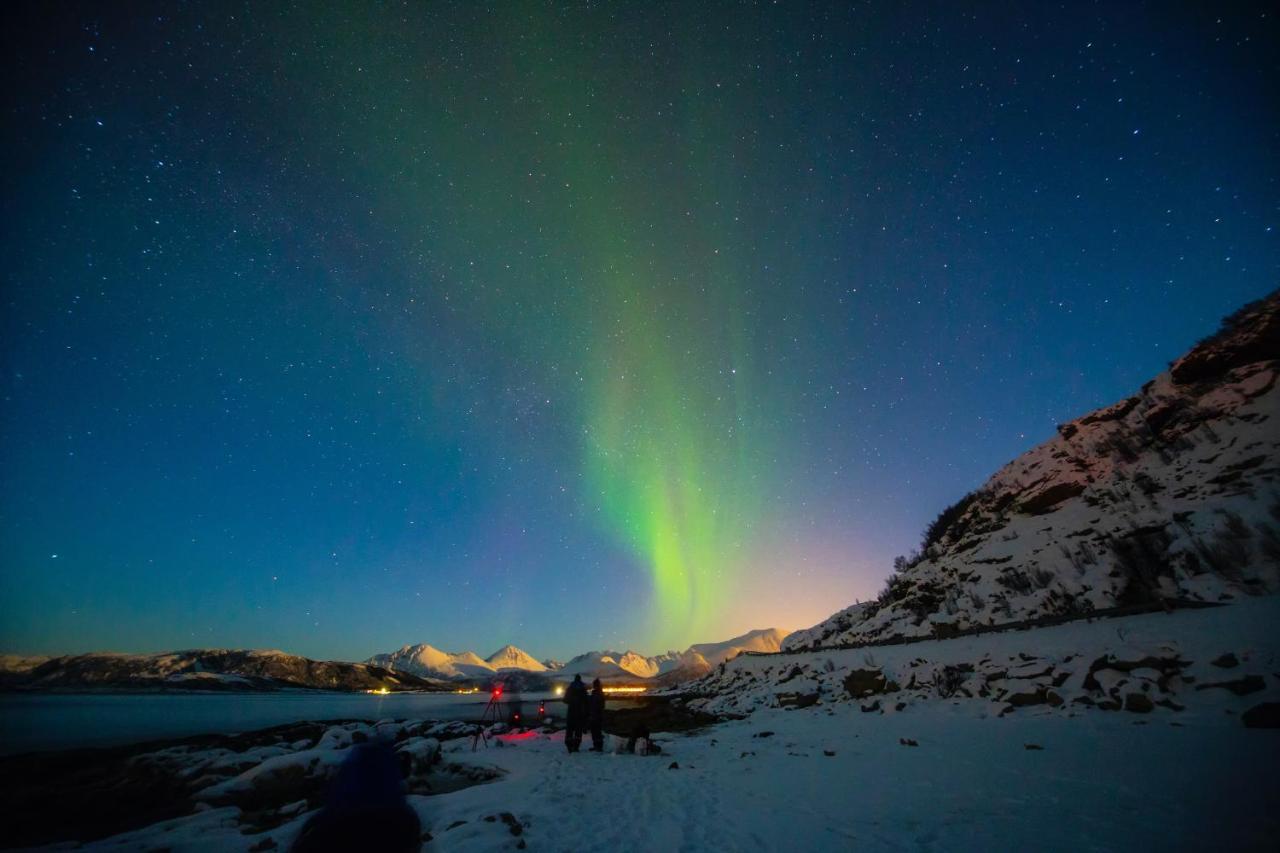 Aera - Glass Cabins Tromsø Exteriér fotografie